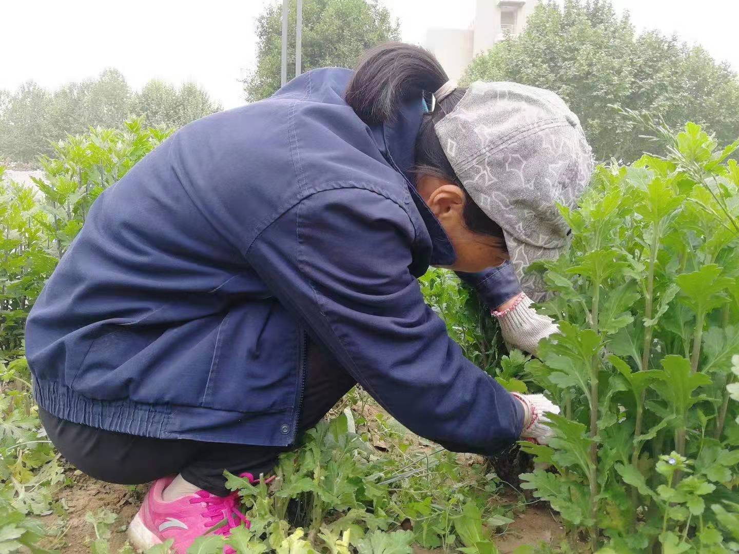 原来名称也丢了